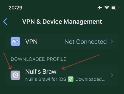 How To Install Null's Brawl On ios